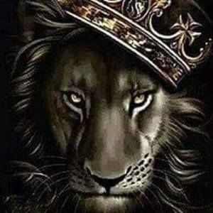 Meet your Posher, Lamont